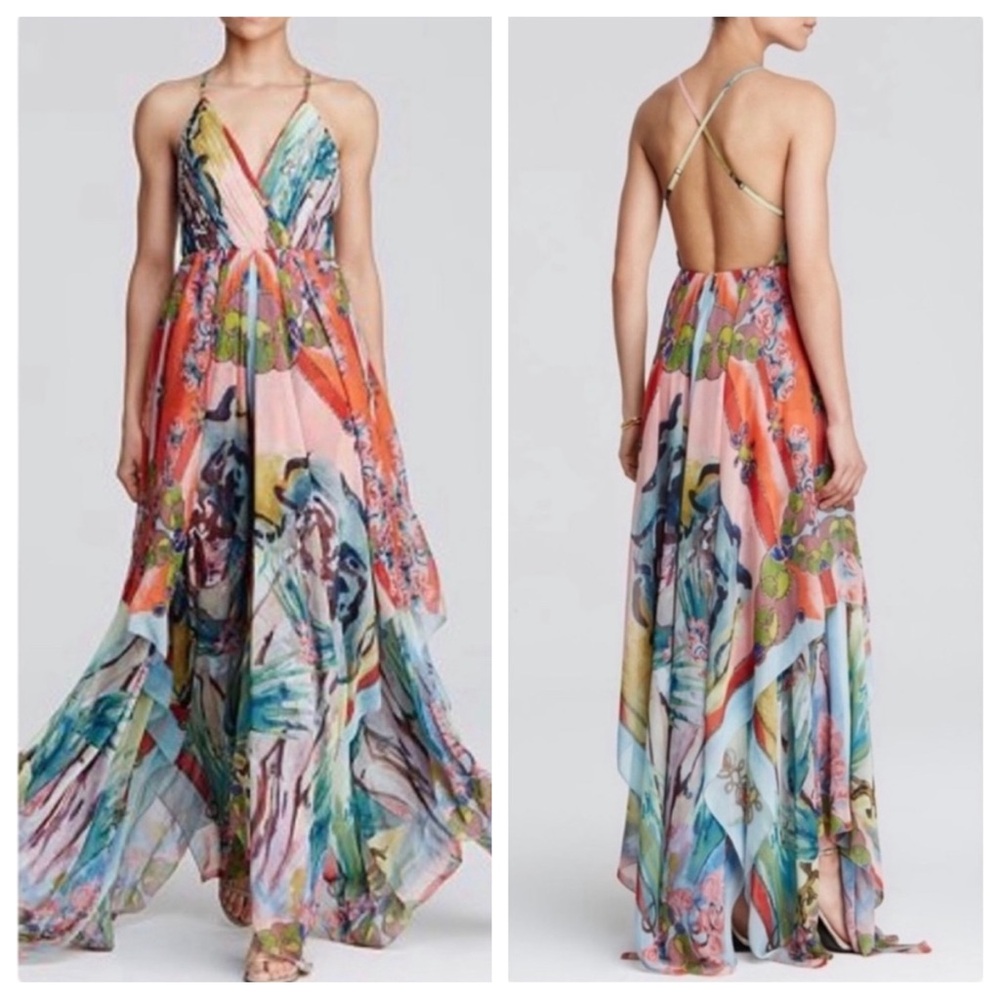 alice + olivia - NWOT orly lady maxi dress handkerchief lola schnabel printed